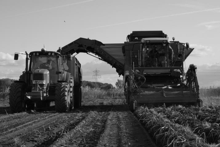 .. 12 april: Omdat we vorige week niet konden komen omdat het Pasen was hebben we ons natuurlijk allemaal zo hard verveeld dat we uit verveling ons zelf zijn beginnen verminken.