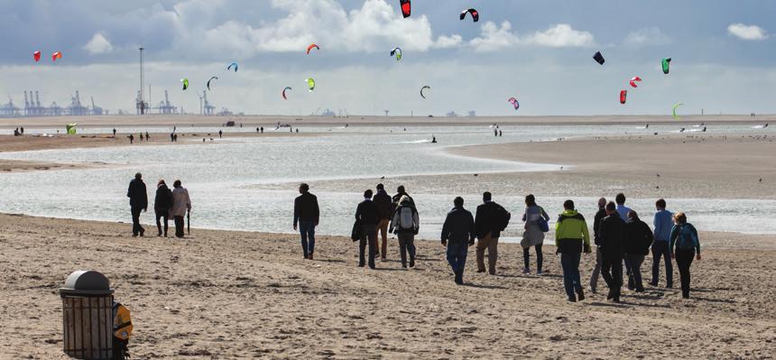 De daadwerkelijke (momentane) kustlijn is ter plekke van de Zandmotor en direct ten noorden en zuiden ervan zeewaarts verplaatst.