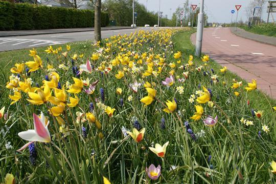 9. Overige maatregelen kern Heibloem Realiseren