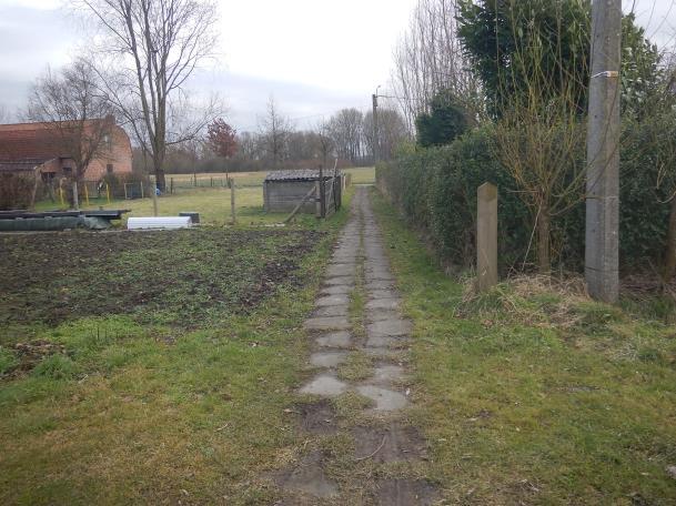 Aansluitend hierop werd een actieplan ontwikkeld waarin we beschrijven welke stappen worden voorzien in deze periode om de zaak planmatig aan te pakken, om zelf nieuwe wegdelen te ontwikkelen, om de