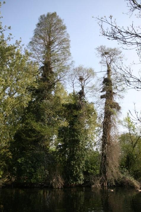 30 leerlingen of bos naar keuze aanbod van: De vogelwereld is boeiend en in ieder seizoen valt wel iets te beleven waarvoor we in bewondering kunnen zijn.