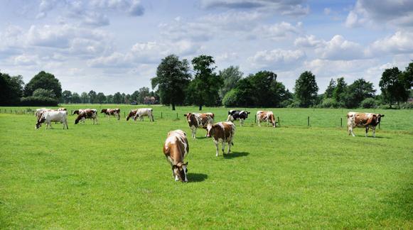 Het ging daarbij om biologische melkveehouders en melkveehouders die voor 2 juli 2015 investeringsverplichtingen waren aangegaan, maar deze nog niet benut hadden.