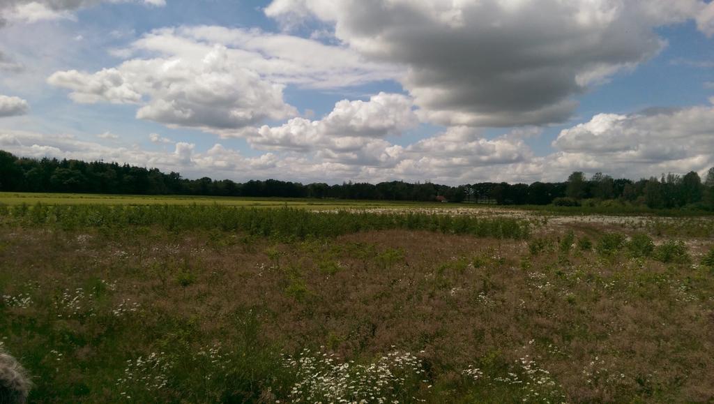 Foto 4: Kruiden- en faunarijk grasland ingericht als onderdeel van een nieuwe bouwkavel binnen landgoed De Eese. We bezoeken drie verschillende hoogveen- of zure vennen.