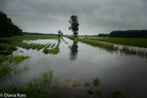 2016, door de vele regenval ging