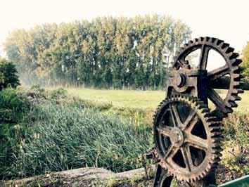 >> Tuinhier Zingem 1 juli: daguitstap In de kijker De eerste zaterdag van juli staat in het geheugen gegrift van de Zingemse Tuinhierders; tijd dus voor de jaarlijkse daguitstap.