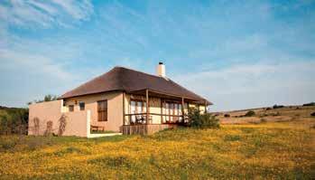 Hotels Hlosi Game Lodge ***** Bukela Game Lodge **** Ligging: ligt in de heuvels, boven de uitgestrekte vlakte van de Eastern Cape.