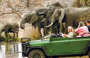 Het is centraal gelegen tussen de Orpen en Phalaborwa poort van het Krugerpark en niet ver van de Panamaroute.