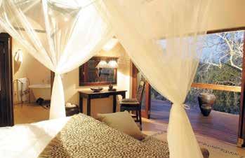 Hotels Moditlo **** Elephant Plains Game Lodge **** Aan de oevers van de Nbesi Rivier in het Blue Canyon Conservancy op slechts 16km van Eastgate Airport (Hoedspruit).
