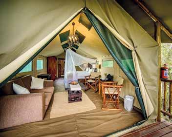 Hotels Shalati Kruger Lodge *** Ligging: Uitkijkend over Manyeleti