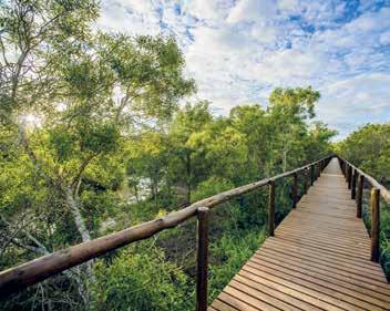 aan Sabi Sand Game Reserve.