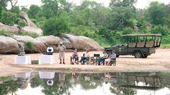 Hotels Plains Camp ****(*) Ligging: Gesitueerd in het hart van de Mutlumuvi privéconcessie, gelegen in het centrum van het Kruger Nationaal Park.