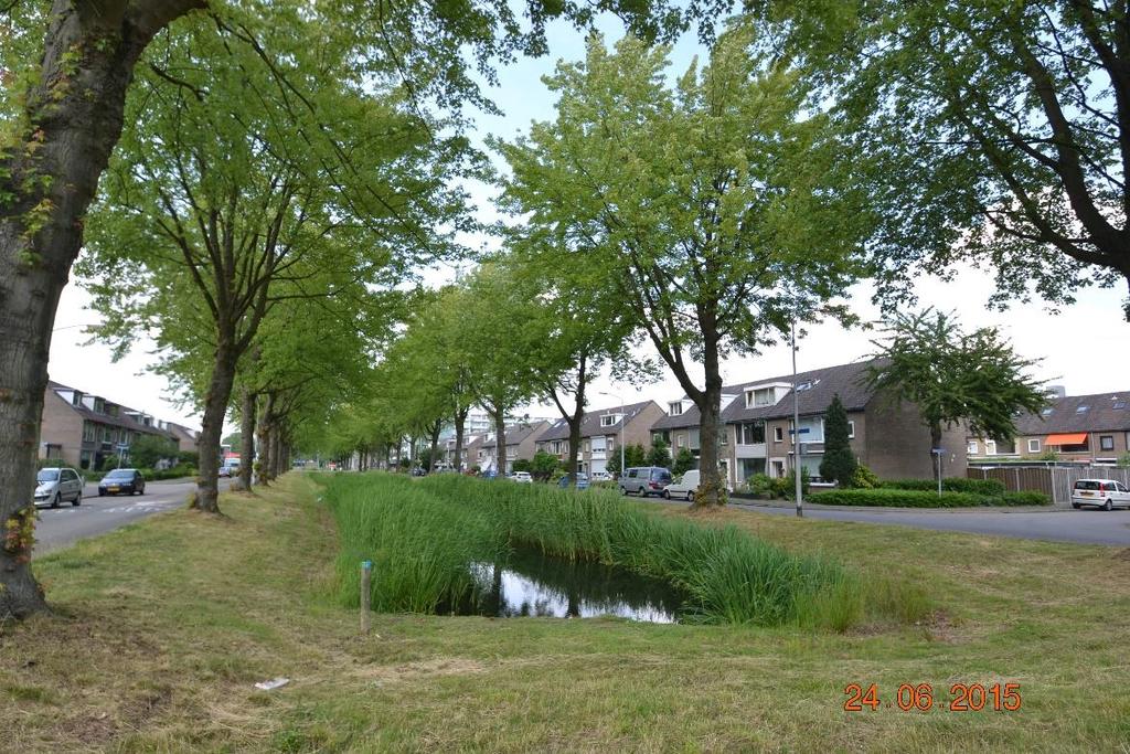 Te koop: Brasschaatstraat 19 te Breda Uitgangspunt is een NVM koopovereenkomst. Standaard wordt in de koopovereenkomst een bankgarantie of waarborgsom van 10 % van de koopsom opgenomen.