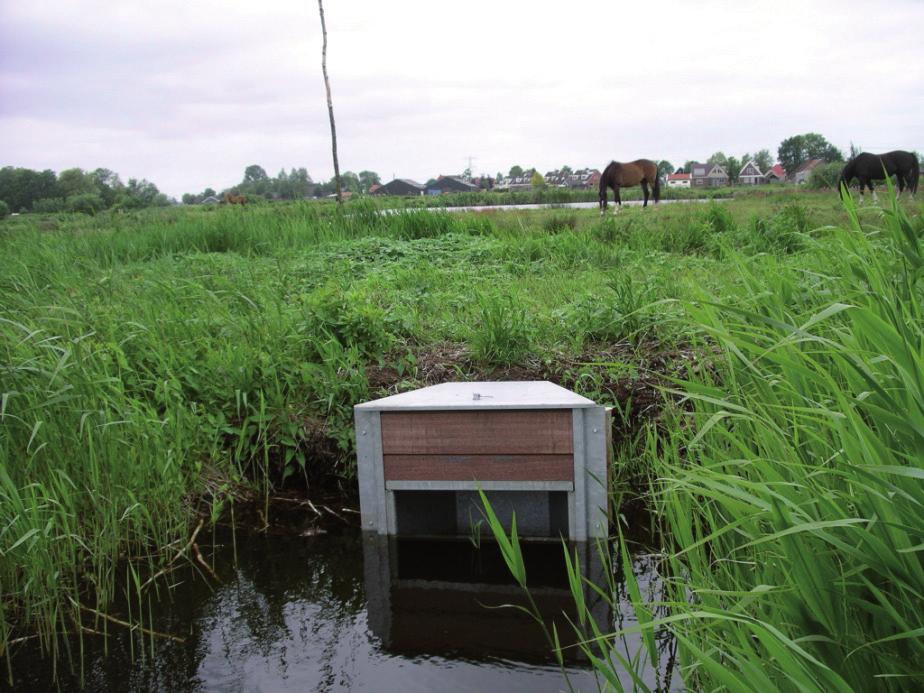 stimuleren van aanwezigheid waard- en nectarplanten onder geschikte condities via aanplant en/of uitzaaien selectieve bescherming en beheer aanplant In totaal moet er in het noordelijk deel van De