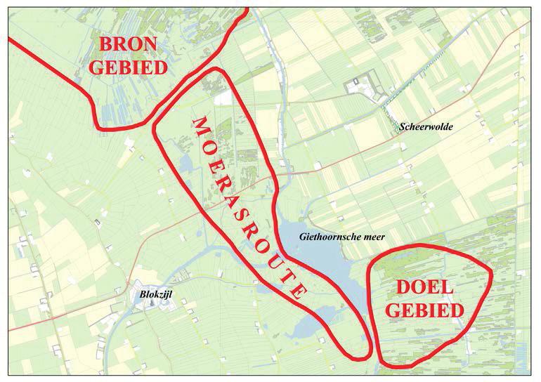 Hoofdstuk 2: Uitdagingen in Noordwest-Overijssel De populatie grote vuurvlinders in De Weerribben weet de afgelopen jaren goed stand te houden.