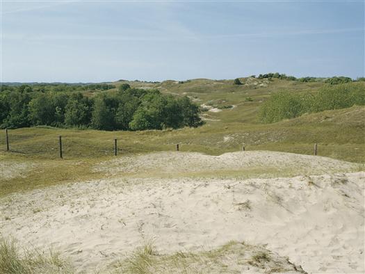 Zo n vijftig jaar geleden ontdekte de eerste toeristen deze voormalige boomgaard zonder voorzieningen.