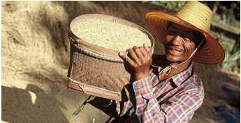 Key elements Fair Trade Trade not aid Armoedebestrijding Duurzaam ontwikkelingsmodel Focus op kleine