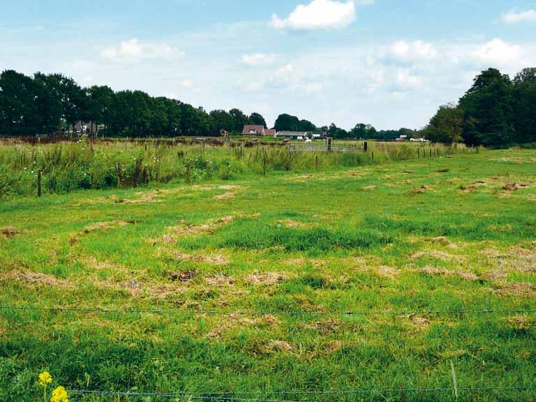 Het is een veel gebruikte truc in de Engelse landschapsstijl, die je ook veel in parken tegenkomt. > Vanuit de lucht lijkt de beplanting niet veel voor te stellen >.