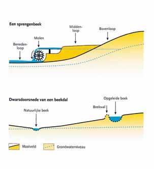 Overigens waren de beekdalen de vorige eeuwen vaak een stuk dichter dan nu door talrijke elzensingels die grotendeels verdwenen zijn.