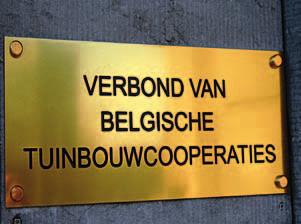 VBT ALS ORGANISATIE 1. MISSIE Het VBT vertegenwoordigt en behartigt, zowel op nationaal als internationaal vlak, de belangen van de Belgische producentencoöperaties in de sector groenten en fruit.