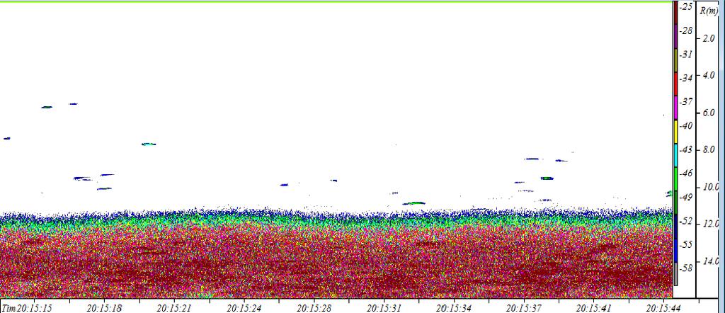 Bespreking resultaten 3..5 Visdichtheid (-biomassa) In figuur 3.6 is een echogram weergegeven dat representatief is voor het Albertkanaal. De visstand in het kanaal is homogeen verdeeld.