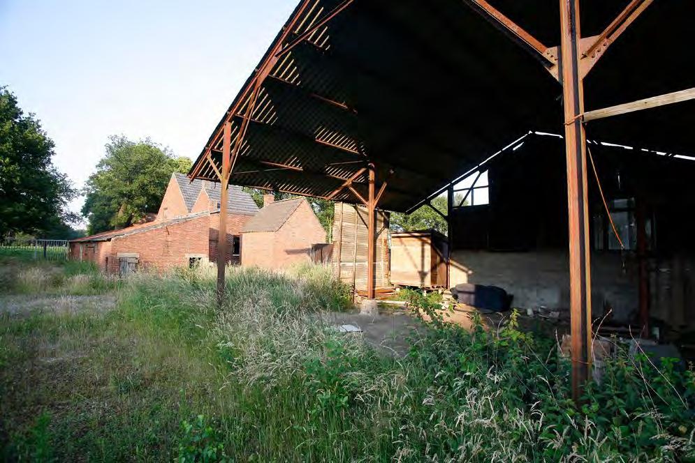 4.4 Steenuil Tijdens de tweede inventarisatieronde werden enkele braakballen van een steenuil aangetroffen in de schuur naast het huis (zie figuur 13).