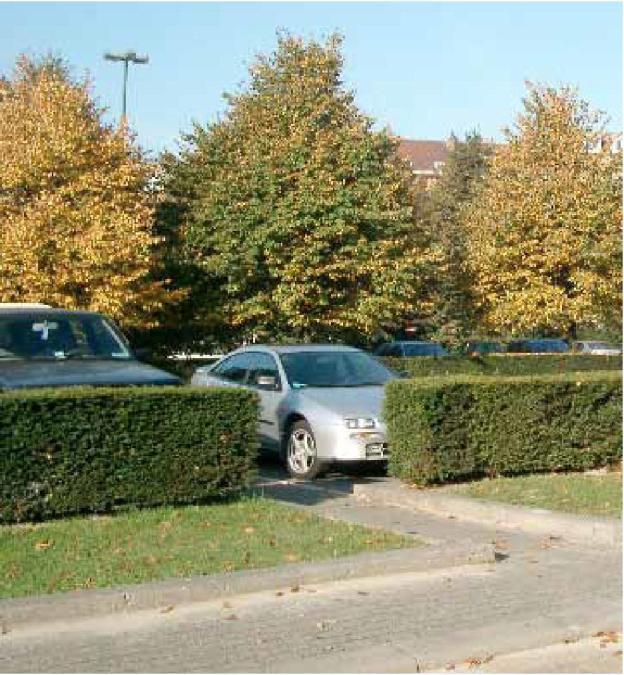 Om de auto s aan het oog te onttrekken wordt rondom de parkeerkoffers tevens een hedra haag van 60 cm aangebracht.