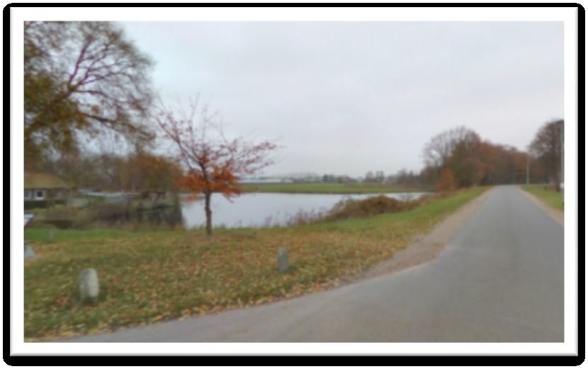 Locatie Zeedijk - Kapelstraat Tussen boom en kant verharding;