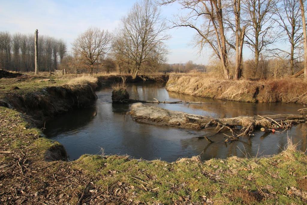 Als rivieren ook in Vlaanderen vrij kunnen bewegen kan op termijn een nieuw