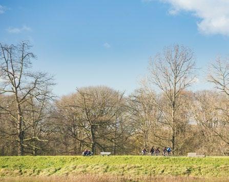 Inhoudsopgave Locatie, omgeving en voorzieningen 4 Verkaveling