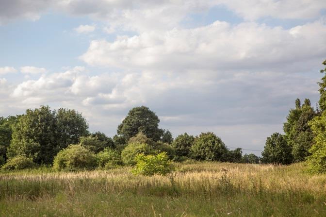 Landschap Hof