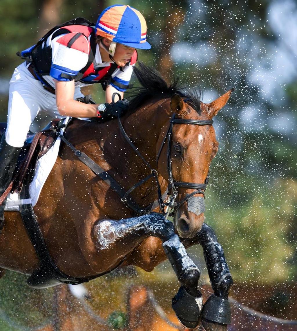 Unieke doelgroep De paardensport is in een aantal opzichten uniek. Zo is het één van de weinige sporten met een dier en is het een sport met gelijke kansen voor mannen en voor vrouwen.