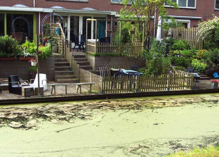 waterkwaliteit in Hoofddorp 64