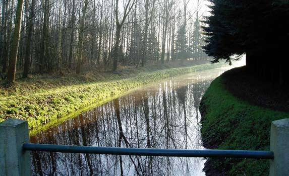 (hydromorfologische processen). Daarbij wordt zowel de verdroging in het bos bestreden en krijgt de beek een dynamischer karakter. Hiernaast zorgt ook het natuur voor 215.