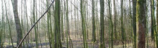 Bij het integraal stromen de landbouwgronden onder vanaf een afvoer van eens per 10 jaar en gedurende enkele dagen. Ook bij het natuur stromen de landbouwgronden minder dan eens per jaar over.