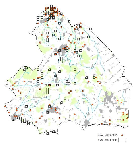 Verspreiding wezel in Drenthe.