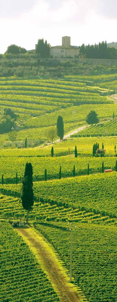 Spumante/Mousserend solighetto 27,50 Cantina Colli del Soligo Veneto Glera Strogeel, licht mousserende wijn met een fruitig aroma en een zachtdroge smaak.