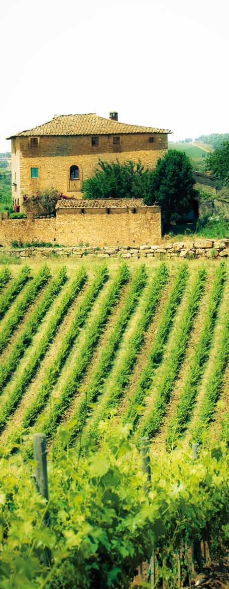 conte della vipera 43,00 Castello della Sala, Antinori Umbrie Sauvignon Blanc, Chardonnay Meloen en rijp fruit, intense volle Koninklijke afdronk, frisse accenten geven deze wijn speelsheid.