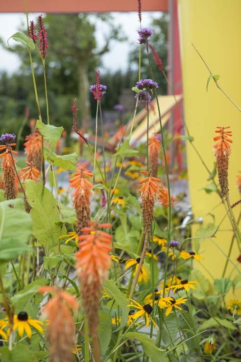 1. Achtergrond Voor je ligt de ambitie gewasbescherming in de sierteelt van de Nederlandse tuinretail 2.0. De ambitie 2.