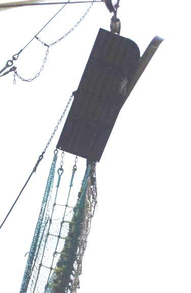 Uitgaande van een onderpees van 30m en een spreiding van 15m werd een touwschot van 10m uitgetekend (zijspieën niet meegerekend) en rasters startend met een lengte aan de basis van meer dan 60cm.