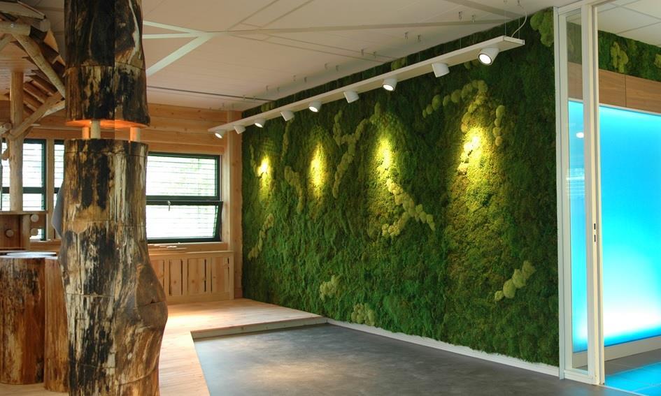 Green moss creations Maatwerk product Eenvoudige montage aan de wand Toepassingsmogelijkheden: volledige muur, als (omlijst) object, uitvoering in vormen als