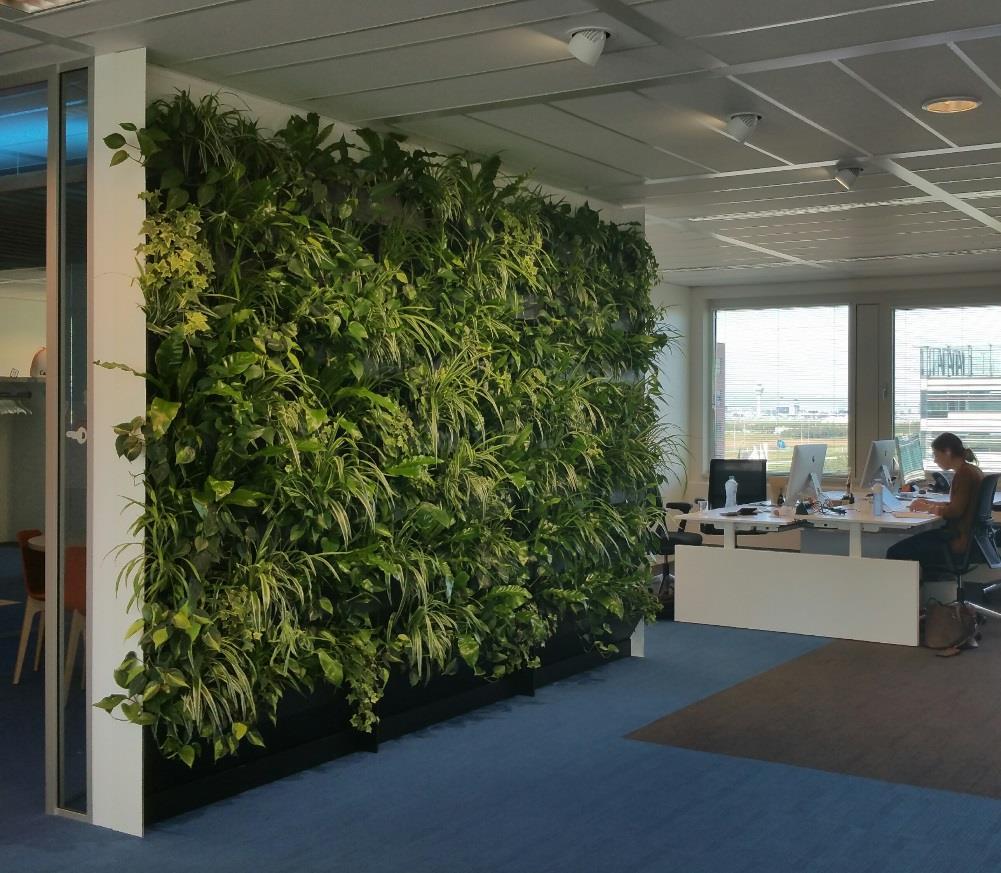 Green screen Maatwerk plantenwand, opgebouwd uit wandmodules Eenvoudig aan te brengen op de vloer of tegen de wand Aanleg elektra, waterleiding en/of afvoer niet nodig Materiaal wandmodules: