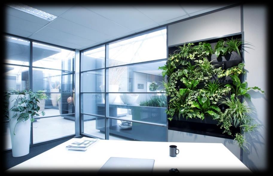 Green+ partition: Plantenwand geïntegreerd in een systeemwand Leverbaar i.s.m. systeemwandenleverancier Spaces4You (www.spaces4you.