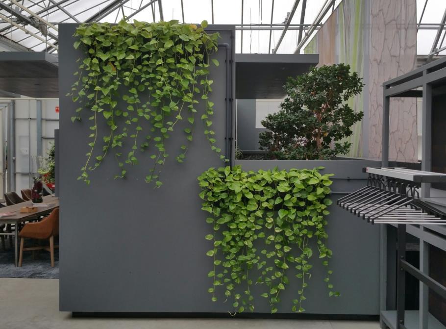 Green living curtain: Maatwerk plantenbak Afmeting modules; h33/d11/l max 300 cm Eenvoudig aan te