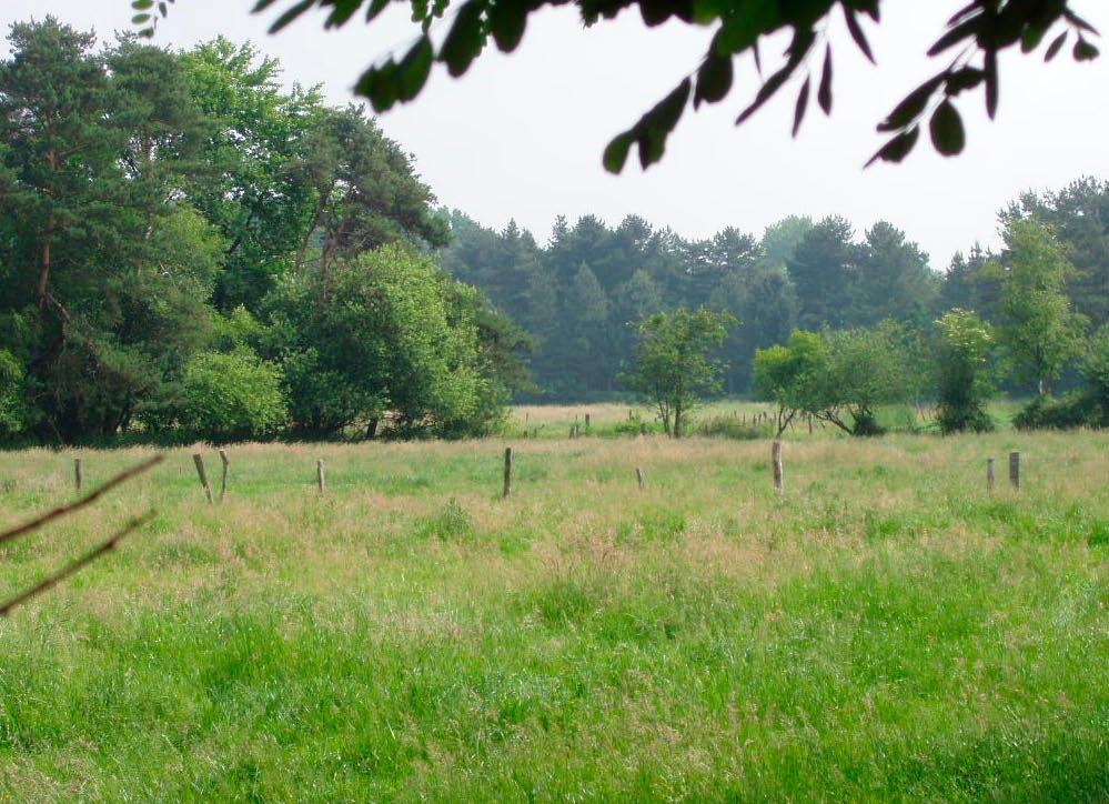 Wegwijs in de wetgeving op het wijzigen