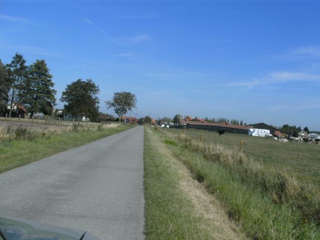 - Soort: 1 of 2 grootte, inheems - Afstand:15m De bomenwerkgroep volgt het voorstel Mostmolen - Aerdekensstraat: - Plaats: linker- of rechterkant