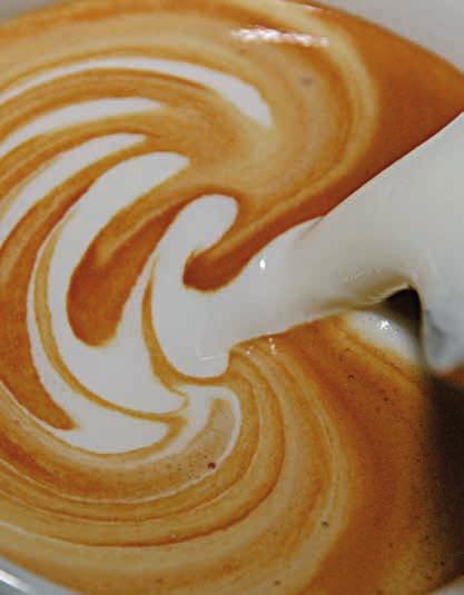 INSTRUCTIES VOOR EEN GOED MELKSCHUIM Uit onze koffie cultuur is melkschuim niet meer weg te denken. Met alle apparaten van NIVONA kunt U heerlijke luchtige melkschuim maken.