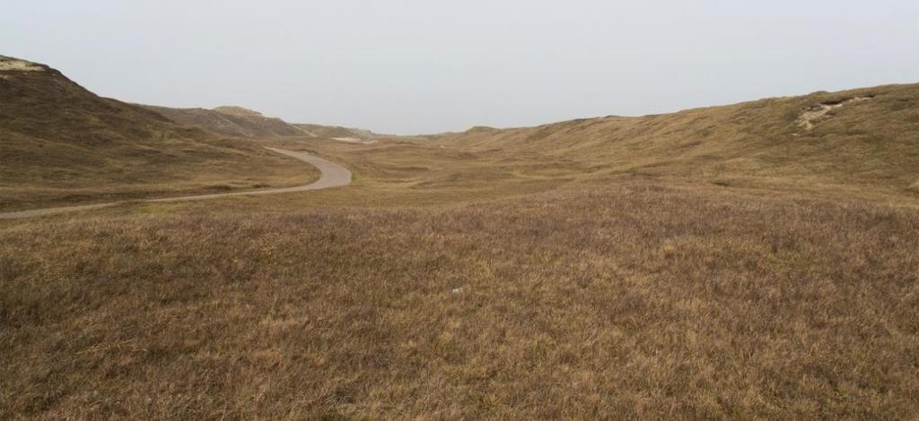 Duinroosvallei In de Duinroosvallei is de konijnenstand na 2011 sterk teruggelopen ten gevolge van de uitbraak van myxomatose en heeft in één keer de vergrassing toegeslagen.