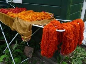 Op het vuur stond die zondag de saffloer (verfdistel) die de strengen wol knal-oranje kleurde.