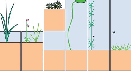 Figuur 1 schematische weergave van de 6 onderscheiden vegetatiestructuren in vennen en de belangrijkste standplaatscondities.