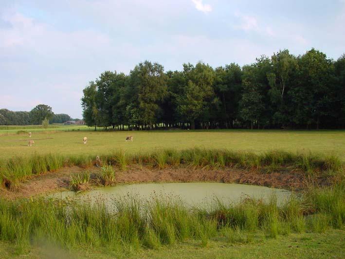 De knoflookpad in Noord-Brabant in 2003 3.7 Heieind Onderzoeksgebied Heieind ligt ten zuiden van Deurne in het oosten van de provincie Noord-Brabant (figuur 7).